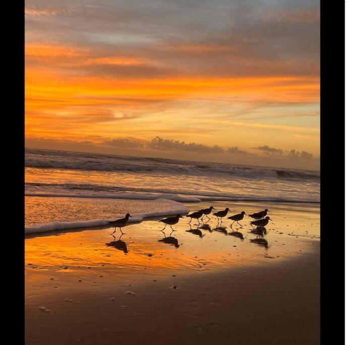 Cocoa, Beach House Luaran gambar